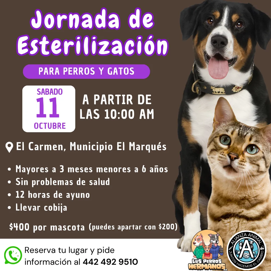 11 oct El carmen