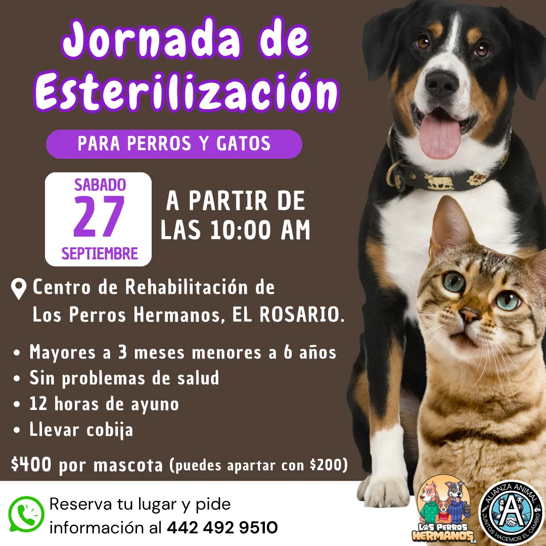 27 sept Rosario